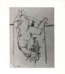 Pinto, Bruno , Ricordo di Michelangelo