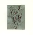 Pinto, Bruno , Albero sulle rocce