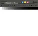 Pinto, Bruno , Albero al vento