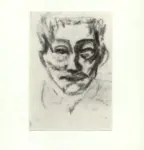 Pinto, Bruno , Testa