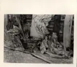 Pirandello, Fausto , Natura morta