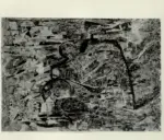 Pirandello, Fausto , La pergola