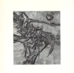 Anonimo ; Anonimo , s.v.