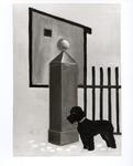 Pozzati, Severo , Il cane
