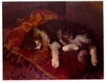 Protti, Alfredo , Gatto sul cuscino -