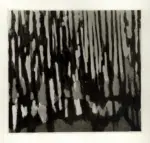 Anonimo ; Anonimo , s.v.