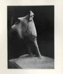 Anonimo ; Anonimo , s.v.