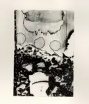 Ramello, Catone , Variazioni della sinfonia n. 5 di Dvorak: "Mondo Nuovo"