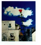 Ricci, Paolo , Una rosa a Posillopo