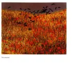 Riviera, Luciana C. , Incursione