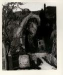 Roma, Gina , Alberi nel cortile