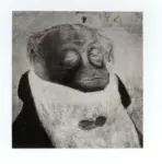 Romani, Romolo , Il ricco