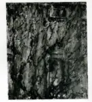 Anonimo ; Anonimo , s.v.