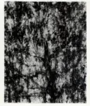 Rosai, Bruno , Albero piccolo