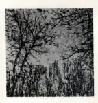 Anonimo ; Anonimo , s.v.