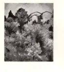 Anonimo ; Anonimo , s.v.