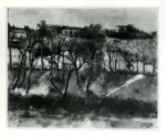 Rosai, Ottone , Paesaggio