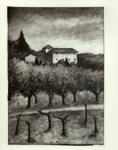 Foto Barsotti , s.v.