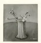 Anonimo ; Anonimo , s.v.