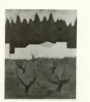 Rosai, Ottone , Paesaggio