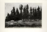 Rosai, Ottone , Alberi e case