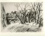 Rosai, Ottone , Alberi e case