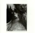 Foto Barsotti , s.v.