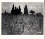 Anonimo ; Anonimo , s.v.