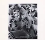 Rossini, Romano , Ninfa danzante