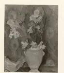 Russo, Corrado , Fiori