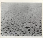 Sadun, Piero , Cat. IV n.16 -