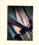 Saltini, Lino , Immagine n. 19