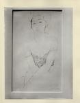 Salvadori, Aldo , Torso di giovane