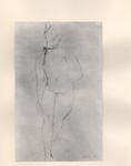 Salvadori, Aldo , Nudo di donna
