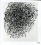 Sanfilippo, Antonio , Composizione