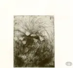 Sartorelli, Lenci , La buca dei fiori