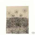 Sartorelli, Lenci , I fiori dell'amore