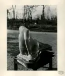 Sasso, Sergio , Donna scolpita