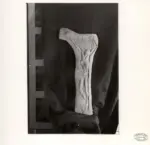 Sasso, Sergio , Cristo