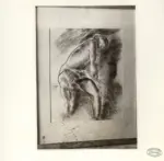 Sasso, Sergio , Disegno