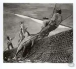 Fotografia Ferruzzi , s.v.