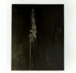 Scanavino, Emilio , Presenza