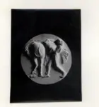 Anonimo ; Anonimo , s.v.