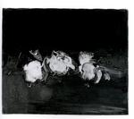 Scatizzi, Sergio , Frutti