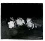 Scatizzi, Sergio , Frutti