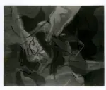 Scialoja, Toti , Dentro e fuori -