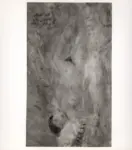 Semeghini, Pio , Nudo