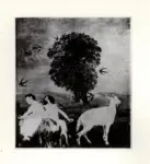 Sguanci, Lorenzo , Ambivalente