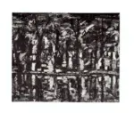 Sidoli, Plinio , Cinque opere di rispecchi