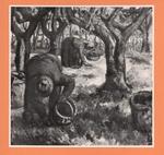 Soffici, Ardengo , Collezione delle olive